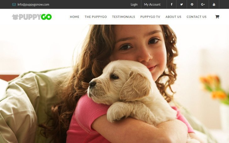 Puppy Go